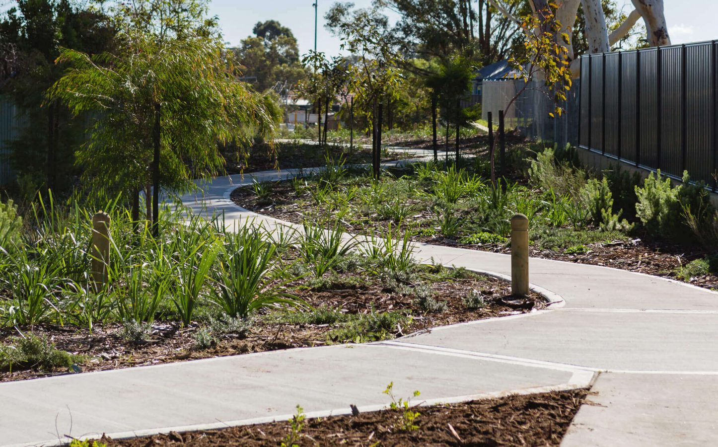 The Amble Estate Girrawheen - Infill Subdivision - path and landscaping